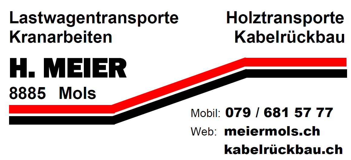 meier-transporte.png